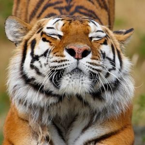 Meet your Posher, Gustavo